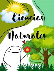 Resultado de imagen de imagen para curso de ciencias naturales